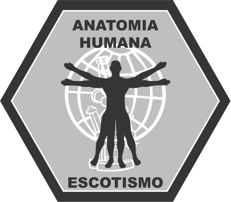 Anatomia Humana