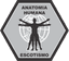 Anatomia Humana