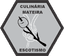 Culinária Mateira