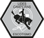 Lides Campeiras