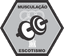 Musculação
