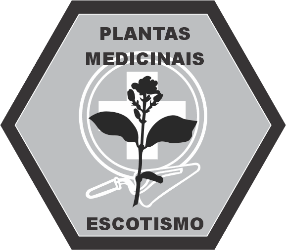 Plantas Medicinais