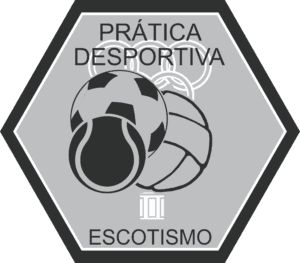 Prática Desportiva