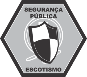 Segurança Pública