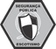 Segurança Pública