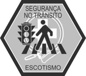 Segurança no Transito