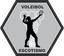 Voleibol
