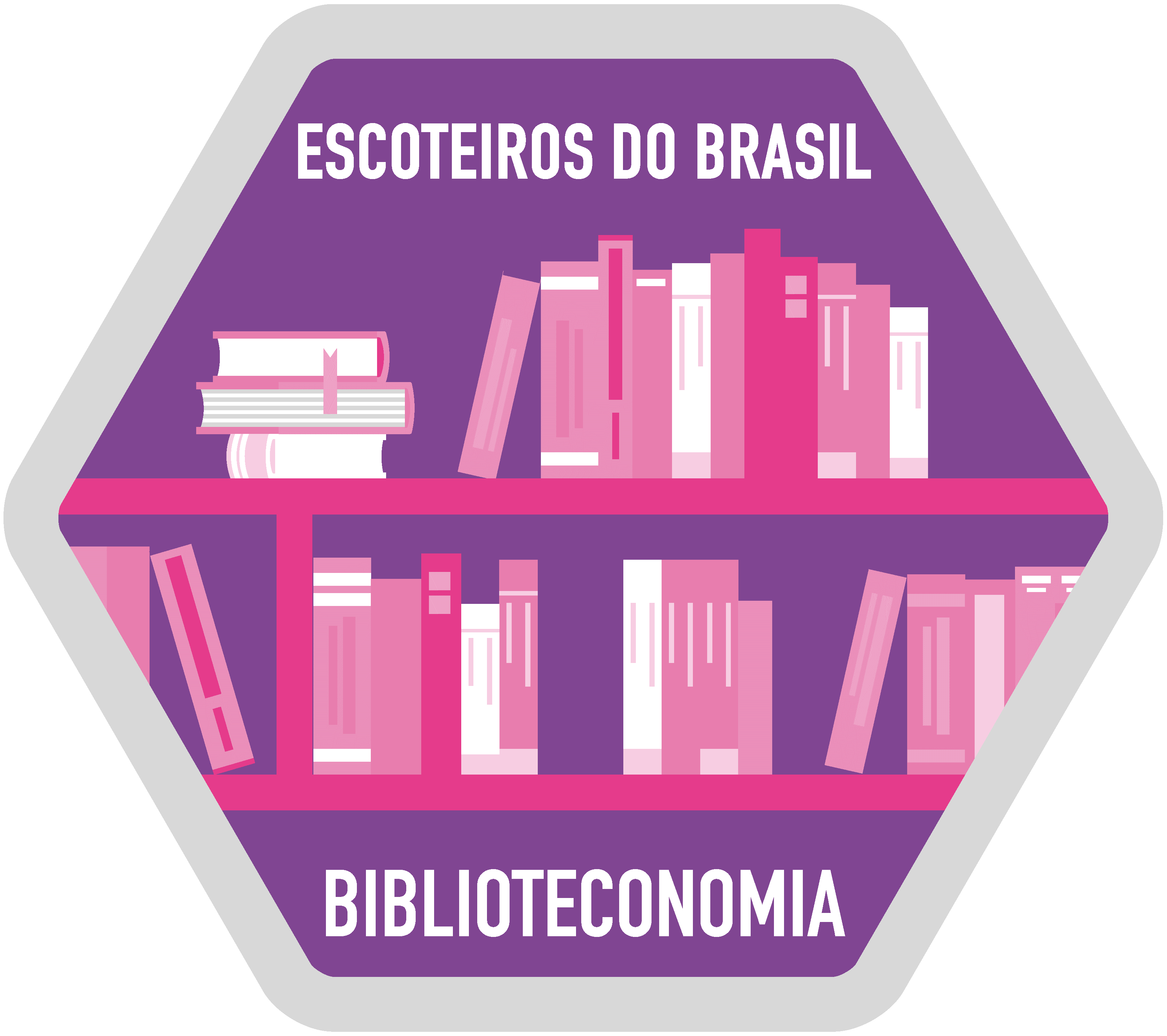 Biblioteconomia