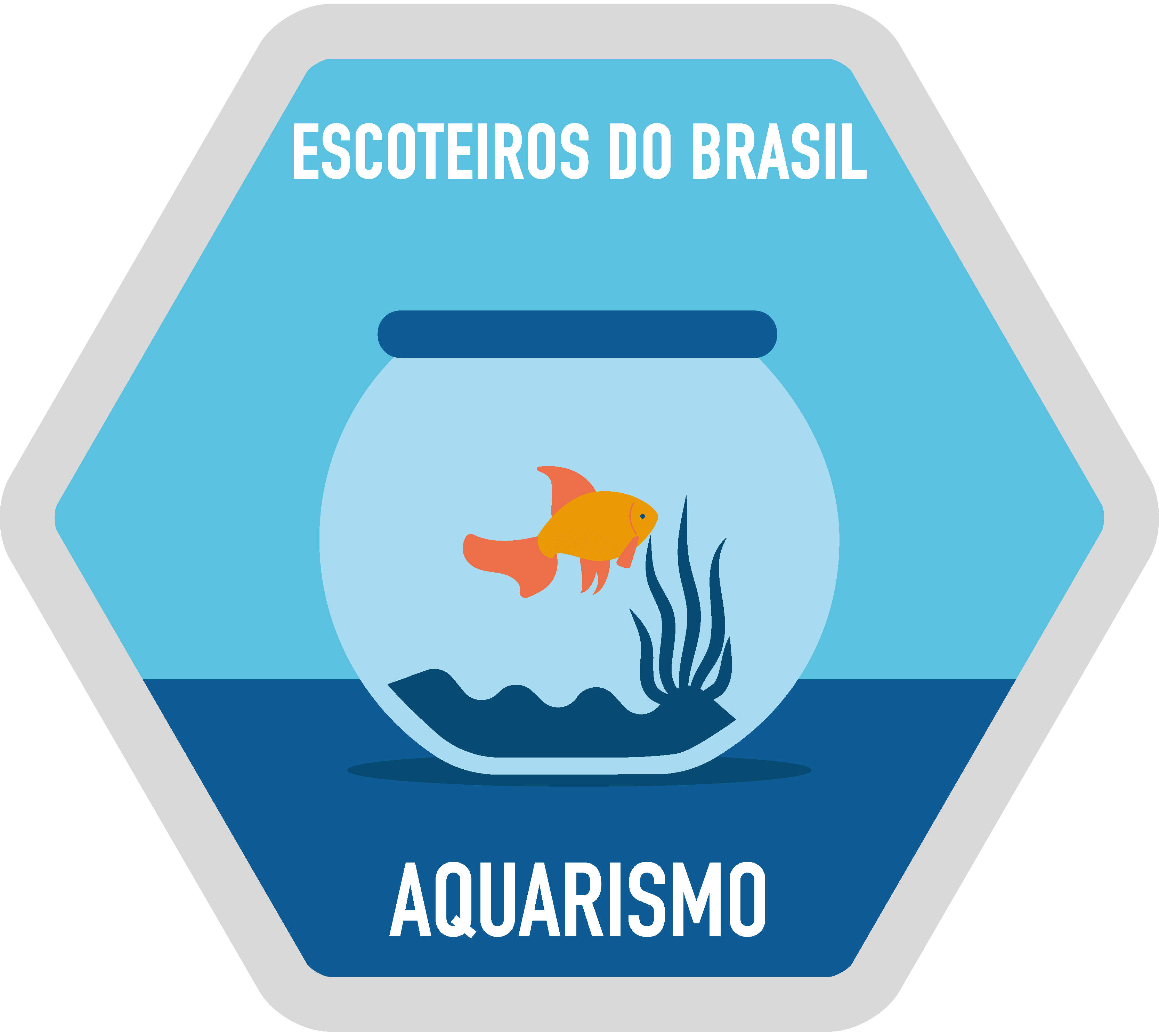 Aquarismo