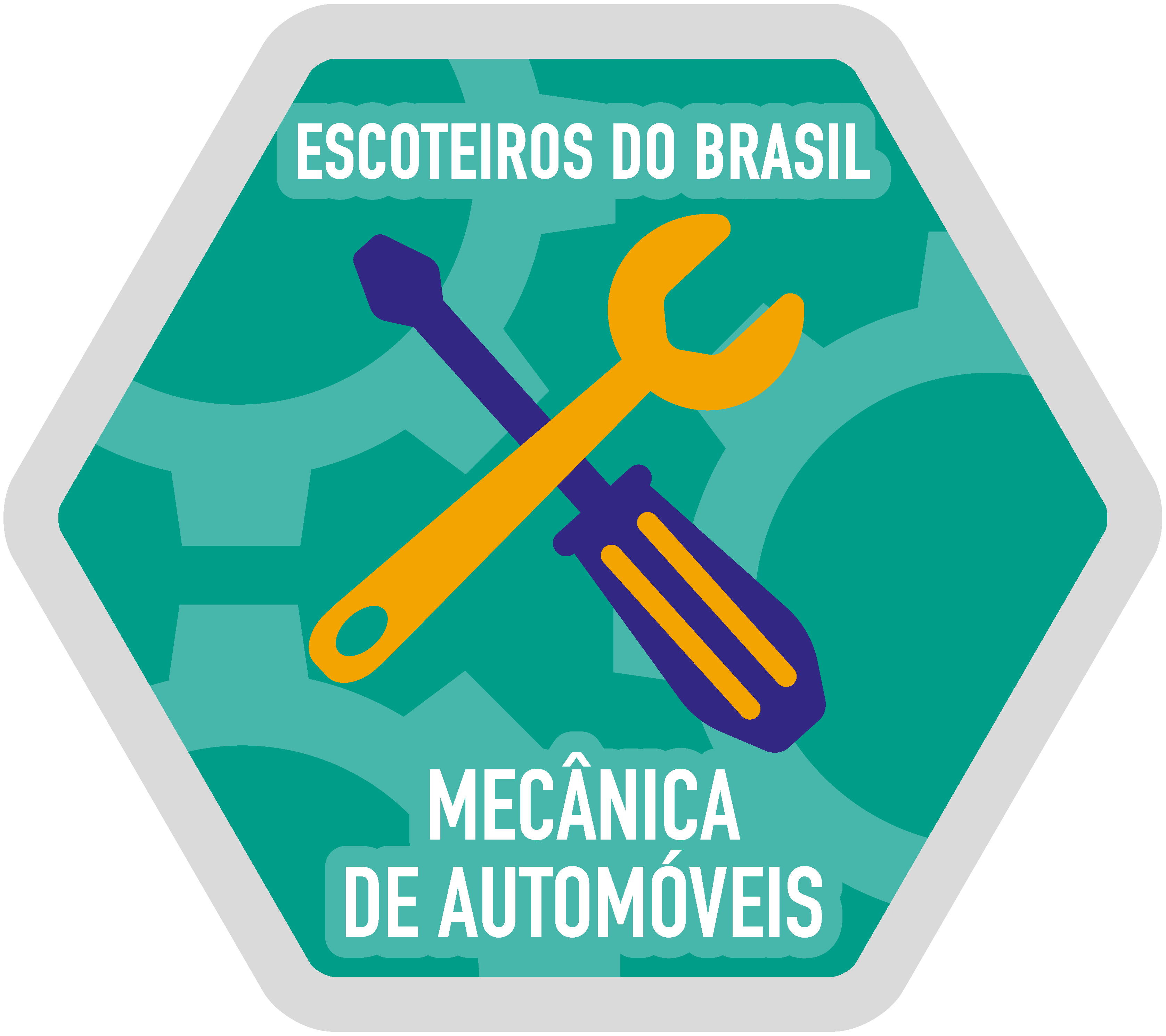 Mecânica de Automóveis