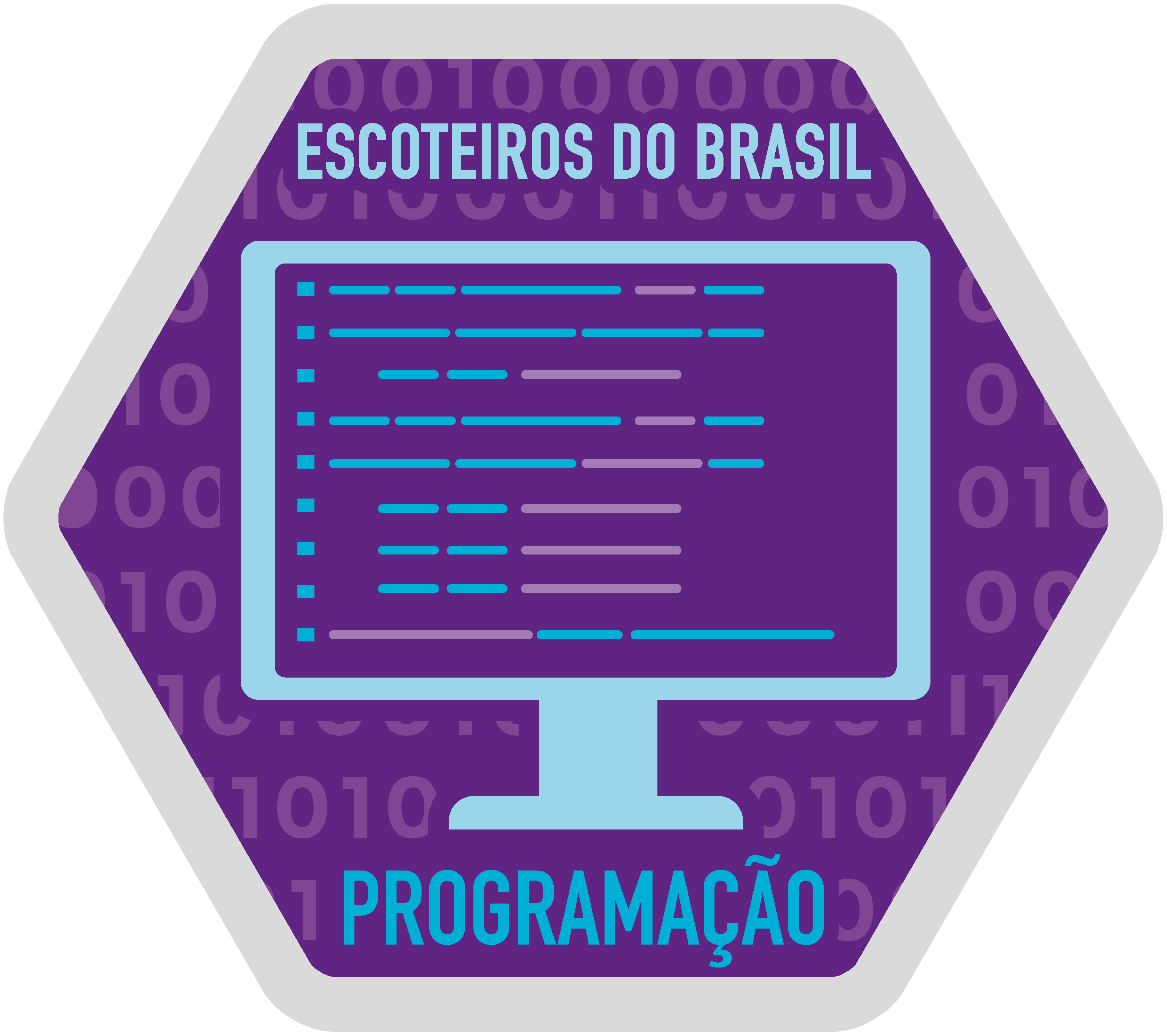Programação