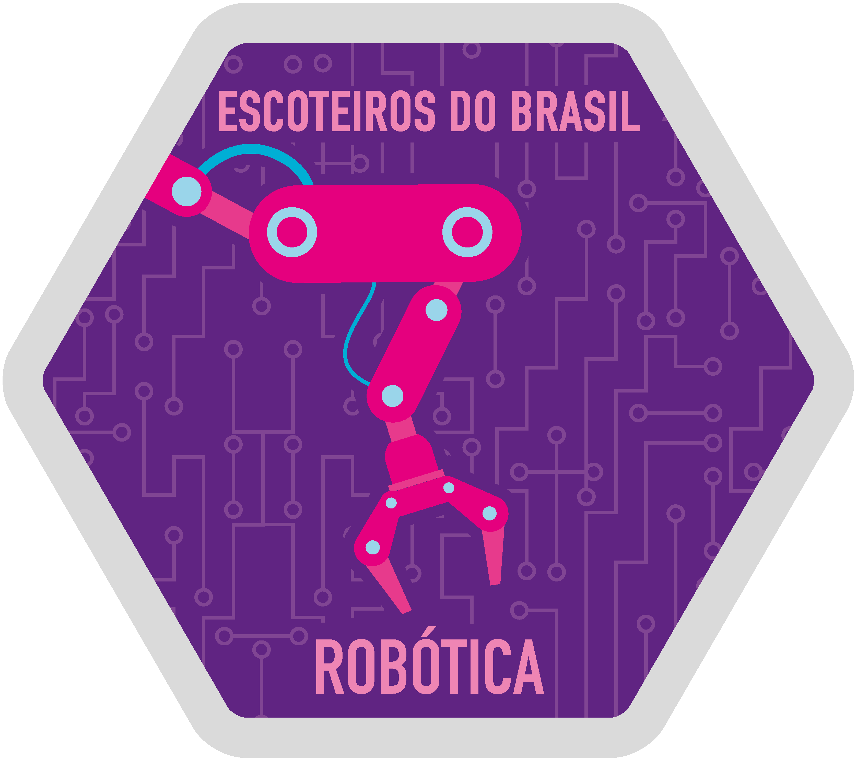 Robótica