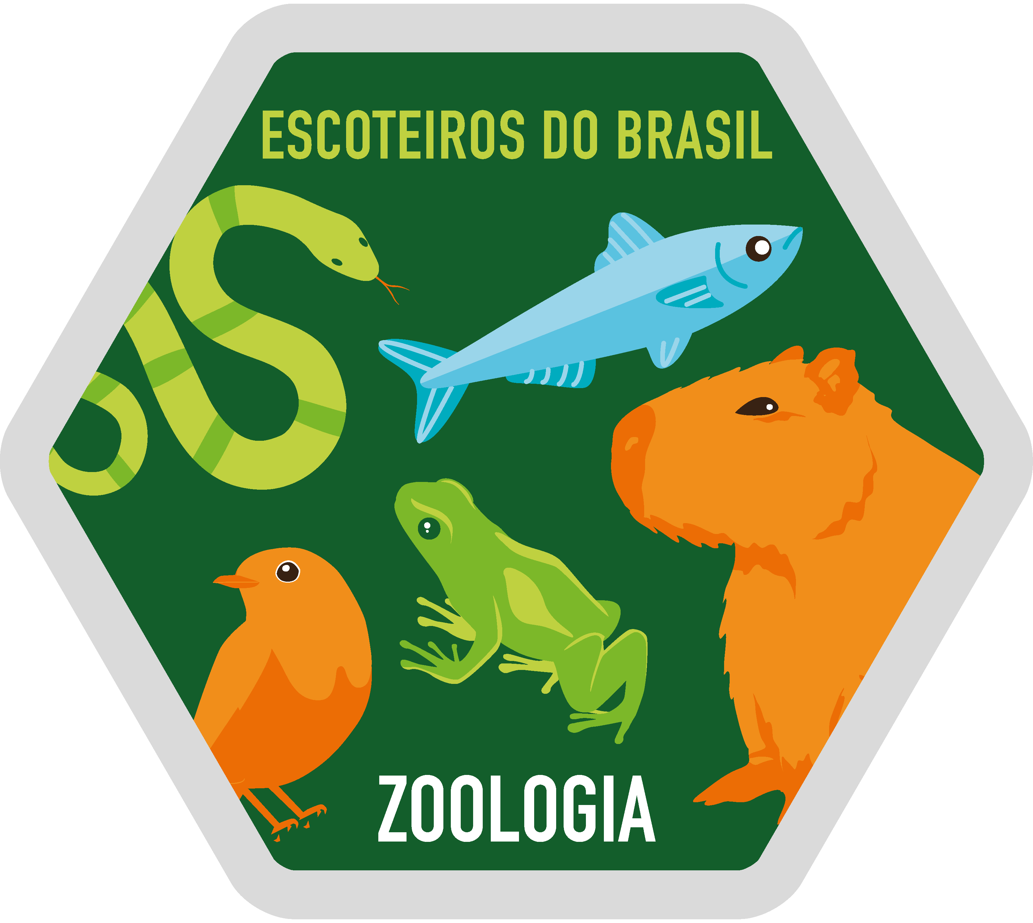 Zoologia